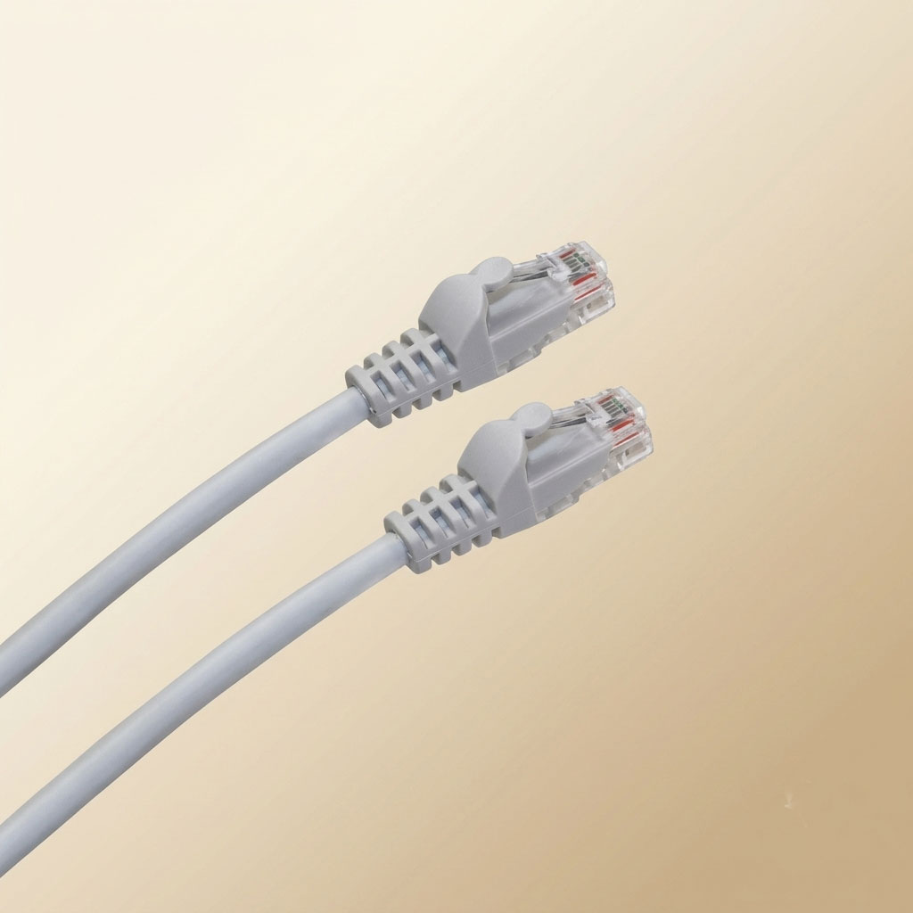 Latiguillo RJ45